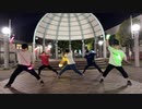 【ヲタ芸】white forces/fripSide【第2弾】