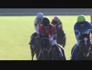 高画質後半【全世代クラシック制覇記念】ディープインパクト産駒全GⅠ勝利まとめ【オーギュストロダンまで】