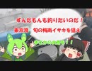 【VOICEROIDフィッシング】ずんだもんも釣りたいのだ！　梅雨イサキ編