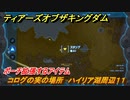ゼルダの伝説ティアーズオブザキングダム　コログの実の場所　ハイリア湖周辺１１　ポーチ拡張するアイテム　＃６７５　【ティアキン】