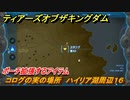 ゼルダの伝説ティアーズオブザキングダム　コログの実の場所　ハイリア湖周辺１６　ポーチ拡張するアイテム　＃６８０　【ティアキン】