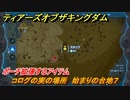 ゼルダの伝説ティアーズオブザキングダム　コログの実の場所　始まりの台地７　ポーチ拡張するアイテム　＃６８３　【ティアキン】