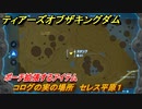 ゼルダの伝説ティアーズオブザキングダム　コログの実の場所　セレス平原１　ポーチ拡張するアイテム　＃６９０　【ティアキン】