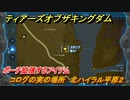 ゼルダの伝説ティアーズオブザキングダム　コログの実の場所　北ハイラル平原２　ポーチ拡張するアイテム　＃７０２　【ティアキン】