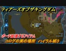 ゼルダの伝説ティアーズオブザキングダム　コログの実の場所　ハイラル城３　ポーチ拡張するアイテム　＃７１１　【ティアキン】