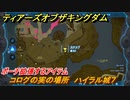 ゼルダの伝説ティアーズオブザキングダム　コログの実の場所　ハイラル城７　ポーチ拡張するアイテム　＃７１５　【ティアキン】