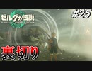 【ティアキン】チューリの裏切り！？【ゼルダの伝説 ティアーズ オブ キングダム】実況プレイ part25