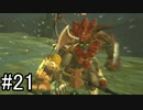 【実況】空の島から始まる新たな冒険【ゼルダの伝説 ティアーズ オブ ザ キングダム】part21