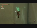 【ゼルダの伝説 ティアーズオブザキングダム】パラセールが無い人 vs パラセールチュートリアル祠の壁