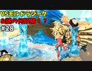 【ゆっくり実況】初めてのブレワイ無双！part28【ゼルダ無双】
