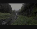 白糸滝〜滝インセクトロジーⅠ・Ⅱ〜秋の虫（HPLバイノーラル）