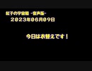 紅子の宇宙船 －音声版－ 2023年06月09日