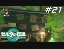 【ティアキン】あれ？リンクとゼルダ同棲してない？ ゼルダの伝説 ティアーズオブザキングダム Part21【ゲーム実況】