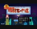 【星のカービィWiiDX】第22幕 新格闘王の先に、何があると思いますか？