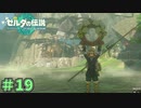てっきり頭に着ける物かと…　「ゼルダの伝説～ティアーズ・オブ・ザ・キングダム」　＃19