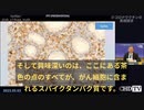 【必見】【国際COVIDサミットIII】ワクチンの発癌メカニズムのまとめ（論文付き、一番包括的かも）ーーライアン・コール博士