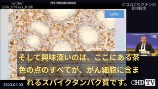 【必見】【国際COVIDサミットIII】ワクチンの発癌メカニズムのまとめ（論文付き、一番包括的かも）ーーライアン・コール博士