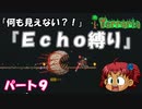 [Terraria]　『Ｅｃｈｏ縛り』パート９　[ゆっくり実況]