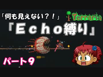 [Terraria]　『Ｅｃｈｏ縛り』パート９　[ゆっくり実況]