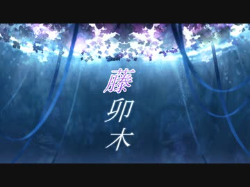 藤卯木feat.＃kznちゃん/金熊猫