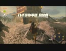 【ゼルダの伝説 ティアーズ オブ ザ キングダム】再びハイラルを救うまで【実況】 part17