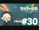 【実況プレイ】 ゼルダの伝説 ティアーズオブザキングダム part30 【いちご大福】