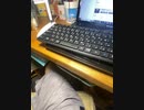 パソコンのキーボード1350円で買ったけど、メチャ快適です。