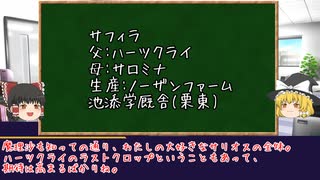 【ゆっくりPOG対決2023-2024】霊夢指名馬紹介