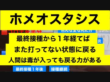 もともと人に備わっているホメオスタシス　　　　　　鹿先生