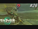 【ティアキン】チューリ、お前病院へ行って来い。【ゼルダの伝説 ティアーズ オブ キングダム】実況プレイ part26