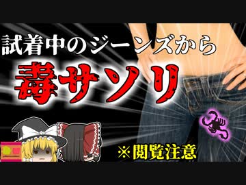 【2006年】※閲覧注意  試着中に突然激痛で悲鳴を上げた女性 ジーンズの中に入っていたのは『サソリ』！？【ゆっくり解説】