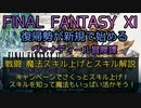 【FF11】戦闘 魔法スキル上げとスキル解説　キャンペーンでさくっとスキル上げ！スキルを知って魔法もいっぱい活かそう！