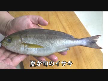 いさき一匹【長火鉢とおっさん312】