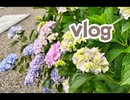 【おでかけ】紫陽花まつりに行ってきたよ