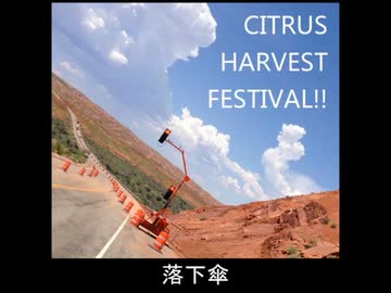 Orangestar　柑橘類収穫記念祭 42336278.15655454.L