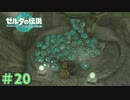 これぞ贅沢の極み　「ゼルダの伝説～ティアーズ・オブ・ザ・キングダム」　＃20