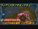 ゼルダの伝説ティアーズオブザキングダム　コログの実の場所　ハイラル城１３　ポーチ拡張するアイテム　＃７２１　【ティアキン】