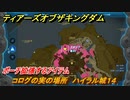 ゼルダの伝説ティアーズオブザキングダム　コログの実の場所　ハイラル城１４　ポーチ拡張するアイテム　＃７２２　【ティアキン】