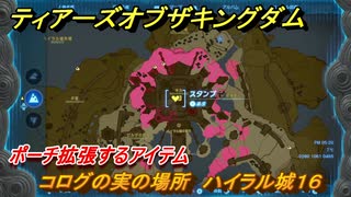 ゼルダの伝説ティアーズオブザキングダム　コログの実の場所　ハイラル城１６　ポーチ拡張するアイテム　＃７２４　【ティアキン】