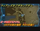 ゼルダの伝説ティアーズオブザキングダム　コログの実の場所　チロリの森１　ポーチ拡張するアイテム　＃７３６　【ティアキン】