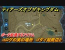 ゼルダの伝説ティアーズオブザキングダム　コログの実の場所　ゴダイ湖周辺２　ポーチ拡張するアイテム　＃７３９　【ティアキン】