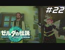 【ティアキン】ハテノ村の村長選に暗躍する勇者リンク ゼルダの伝説 ティアーズオブザキングダム Part22【ゲーム実況】