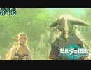 # 16 時をかける少女【ゼルダの伝説ティアーズオブザキングダム】実況プレイ