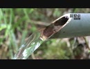 東北地方の湧水　のほんの一部をご紹介。