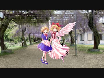 夢幻月といく、日帰り藤まつり旅行