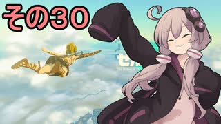 ゆかりさんと雲の王国３０【ゼルダの伝説 ティアーズ オブ ザ キングダム】