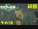 ゼルダの伝説ティアーズオブザキングダム！その18