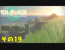 ゼルダの伝説ティアーズオブザキングダム！その19