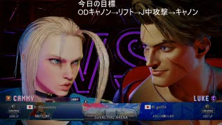 【ストリートファイター６】いずれ最強になる隊員part7【キャミィ】