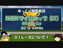 GIレース解説⑦ NHKマイルカップ